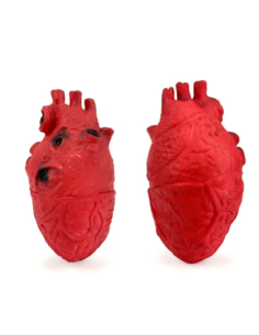 Cœur Humain Vinyl Halloween – Accessoire réaliste pour déco gore