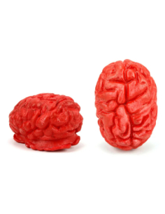 Cerveau Humain Vinyl Halloween – Décoration réaliste effrayante