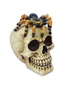 Tête de Mort avec Araignée 13.5x15x11 cm – Décoration Halloween