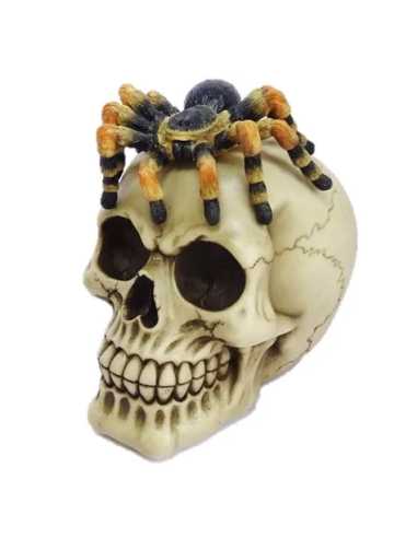 Tête de Mort avec Araignée 13.5x15x11 cm – Décoration Halloween