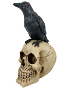Tête de Mort avec Corbeau 21x15x11 cm – Décoration Halloween Effrayante