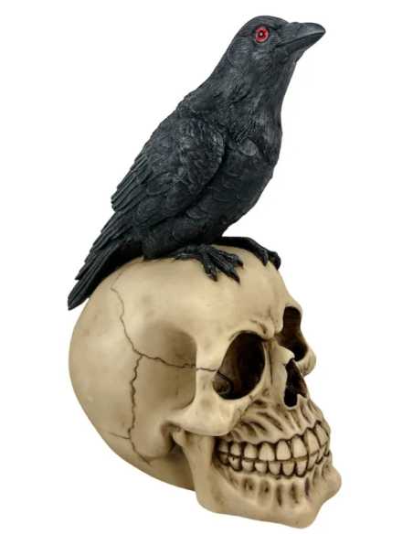 Tête de Mort avec Corbeau 21x15x11 cm – Décoration Halloween Effrayante