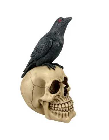 Tête de Mort avec Corbeau 21x15x11 cm – Décoration Halloween Effrayante