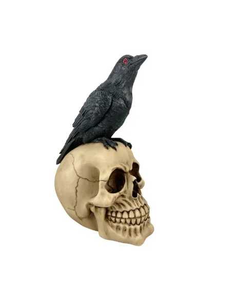 Tête de Mort avec Corbeau 21x15x11 cm – Décoration Halloween Effrayante