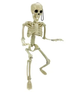 Squelette Articulé 40 cm – Décoration Halloween Réaliste 2