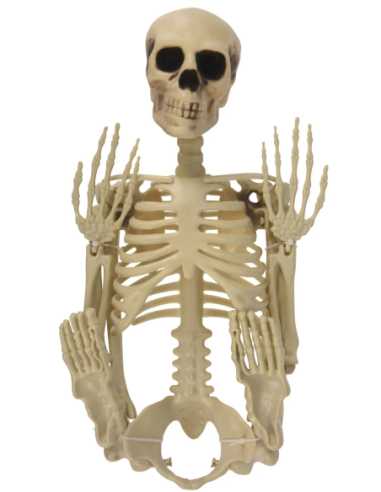 Squelette Halloween 90 cm – Décoration Effrayante et Réaliste