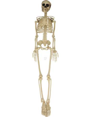 Squelette Halloween 90 cm – Décoration Effrayante et Réaliste