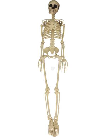Squelette Halloween 90 cm – Décoration Effrayante et Réaliste
