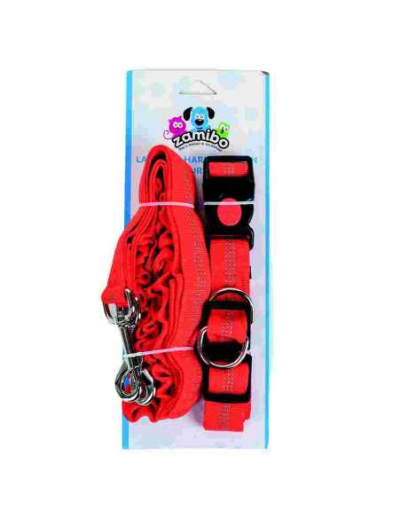 Laisse et harnais course à pied, 2.5x120 cm, rouge