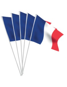 Lot 10 Drapeaux France Papier 20x30 cm avec Tige | marcheauxaffaires.fr