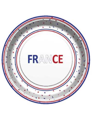 Lot 8 Assiettes Carton 22 cm Bleu-Blanc-Rouge France | marcheauxaffaires.fr