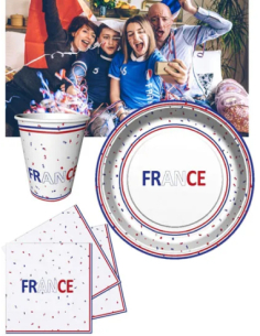 Lot 8 Assiettes Carton 22 cm Bleu-Blanc-Rouge France | marcheauxaffaires.fr 2
