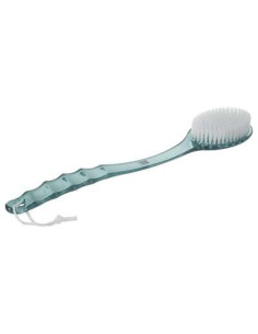 Brosse à dos plastique