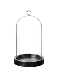 Cloche en verre socle noir 19cm