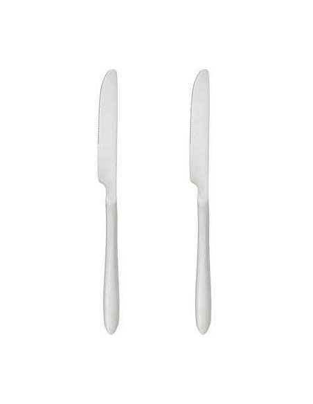 Couteau Inox NEVIS Lot de 2