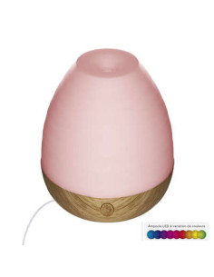 Diffuseur d'huile essentielle IYANA 70 ml. USB