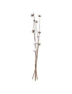 Bouquet fleurs de coton séchées DISPLAY Hauteur 100 cm.