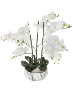 Orchidée pot ciment hauteur 65 cm