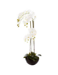Orchidée pot céramique hauteur 115 cm