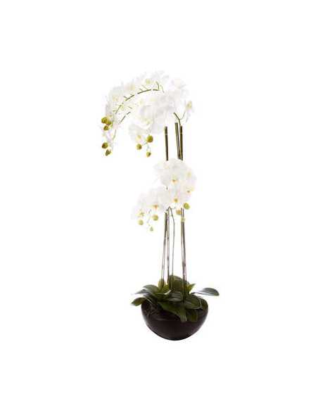 Orchidée pot céramique hauteur 115 cm