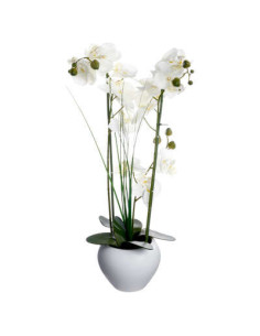 Orchidée pot céramique blanc hauteur 53 cm