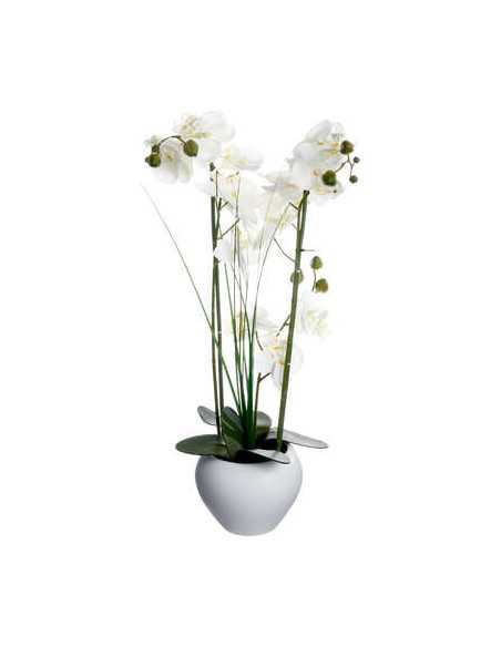 Orchidée pot céramique blanc hauteur 53 cm