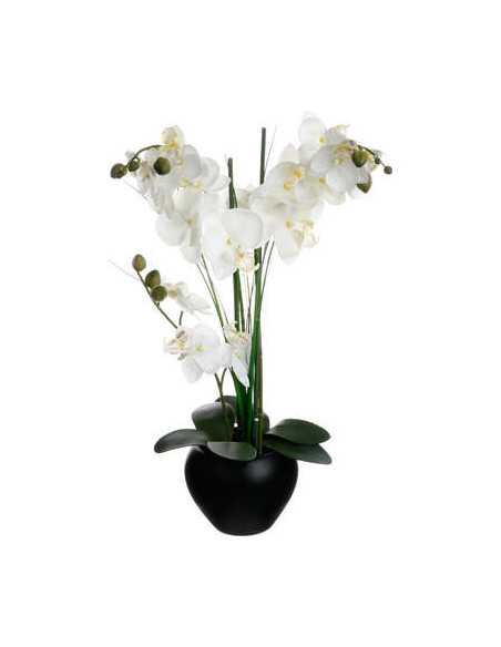 Orchidée pot céramique noir hauteur 53 cm