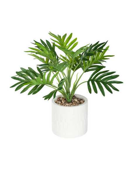 Palmier ETNIK hauteur 29 cm