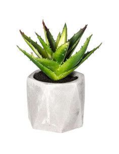 Plante grasse artificiel diamètre 7 cm hauteur 14 cm