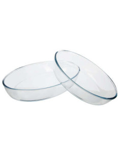 Plat verre oval set de 2