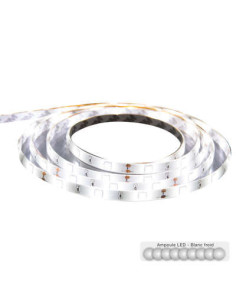 Ruban LED télécommande et prise secteur blanc froid longueur 500 cm