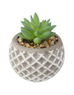 Succulente artificiellePot ciment, H.9 cm