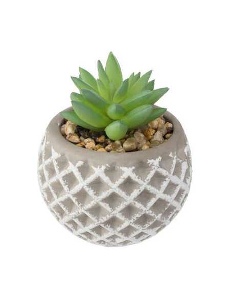 Succulente artificiellePot ciment, H.9 cm