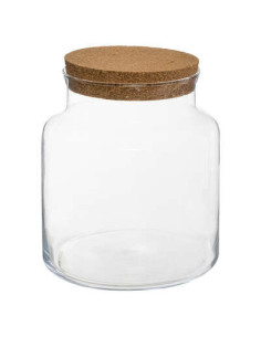 Terrarium bouchon liège hauteur 21,5 cm