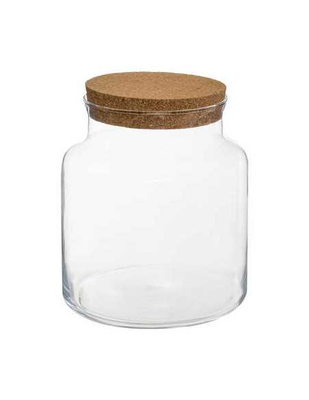 Terrarium bouchon liège hauteur 21,5 cm