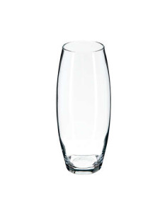 Vase bombé transparent FLORA hauteur 26 cm
