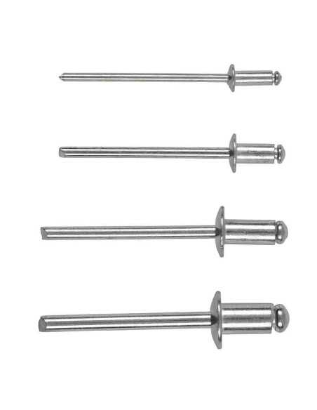100 rivets aveugles assortis