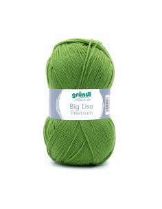 Pelote Big Lisa Prenium 250g vert