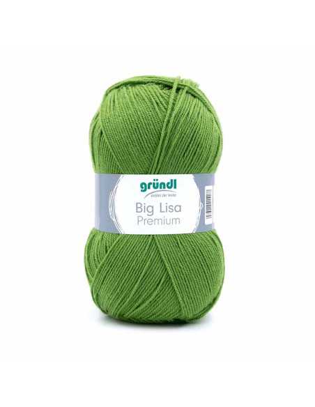 Pelote Big Lisa Prenium 250g vert