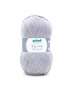 Pelote Big Lisa Prenium 250g gris clair