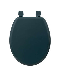 Abattant WC Pétrole