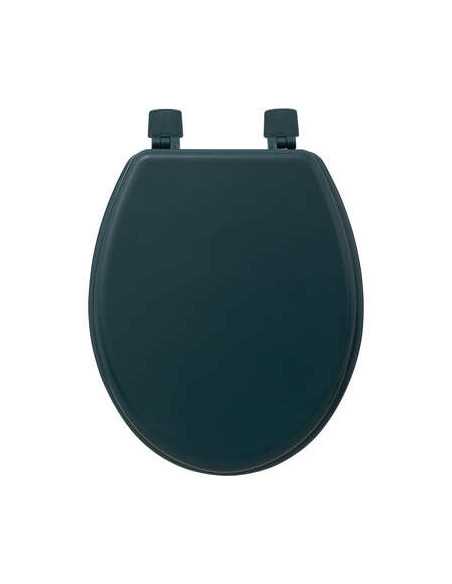 Abattant WC Pétrole