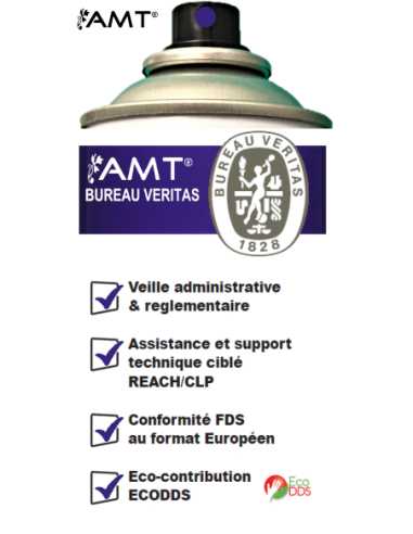 Bombe de peinture aérosol AMT améthyste