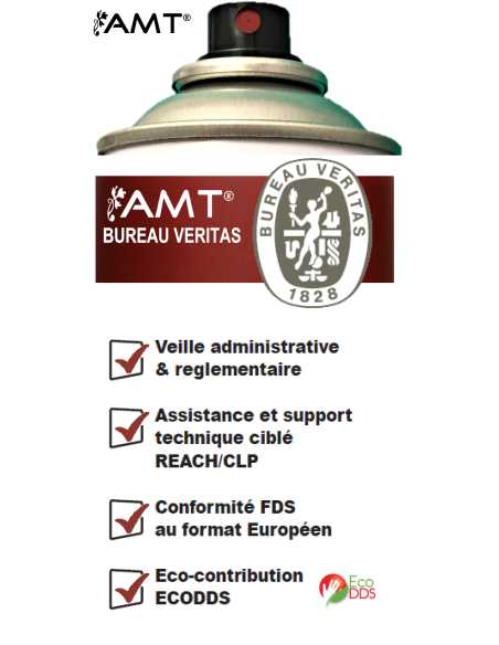 Bombe de peinture aérosol AMT antirouille