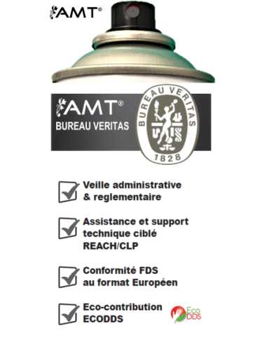 Bombe de peinture aérosol AMT ardoise mat