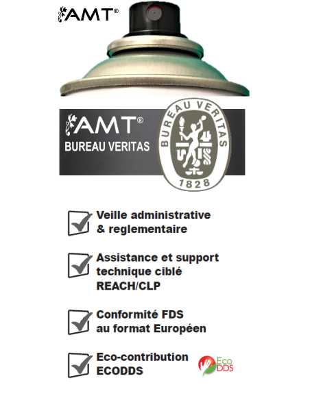 Bombe de peinture aérosol AMT ardoise mat
