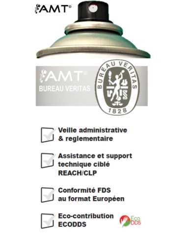 Bombe de peinture aérosol AMT blanc mat