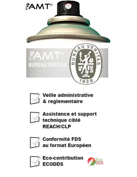 Bombe de peinture aérosol AMT blanc mat