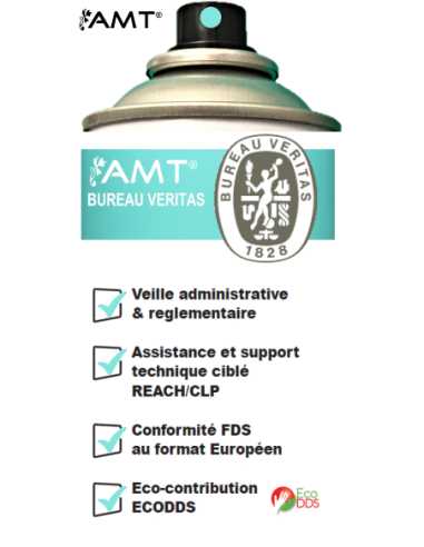 Bombe de peinture aérosol AMT fjörd