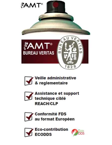 Bombe de peinture aérosol AMT fruits rouges